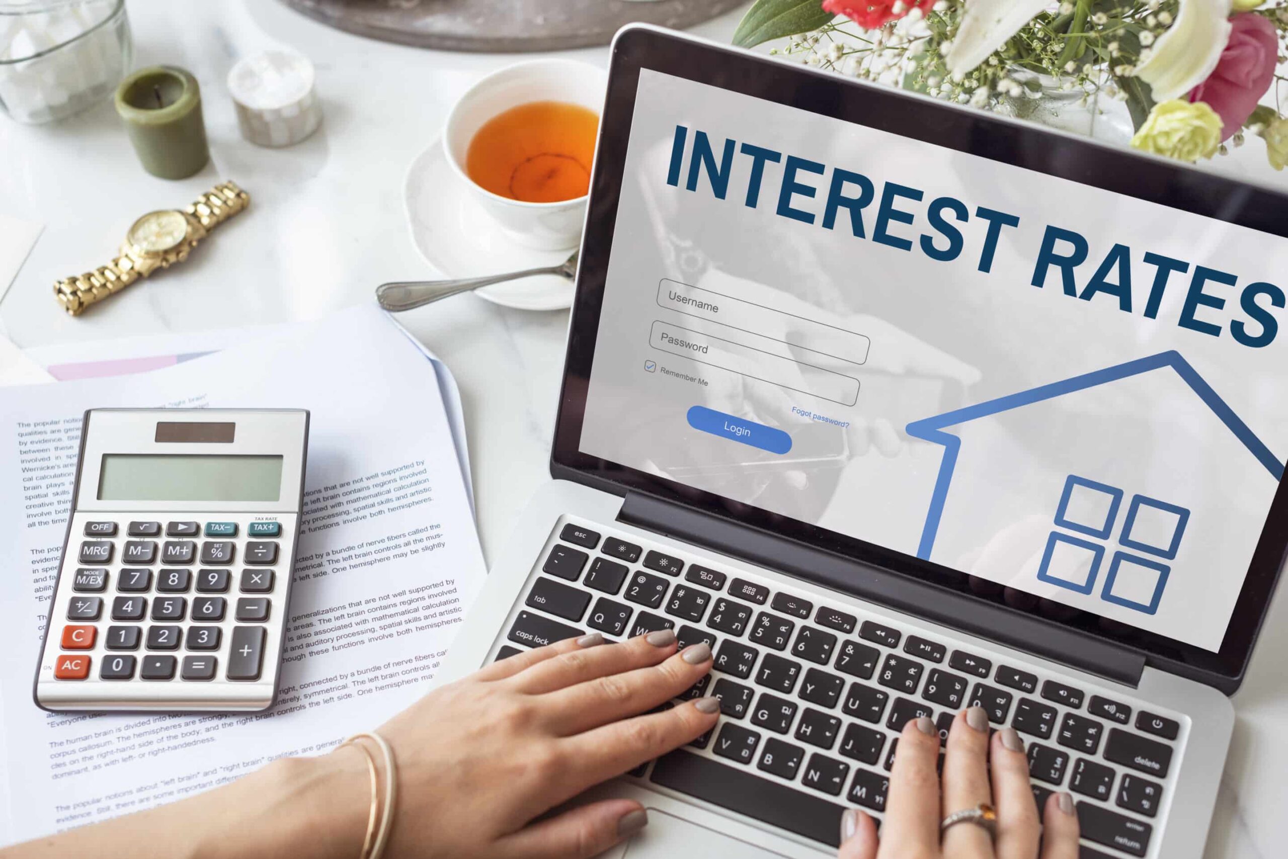 What are interest rates doing? Free Insight from Oct 2024
