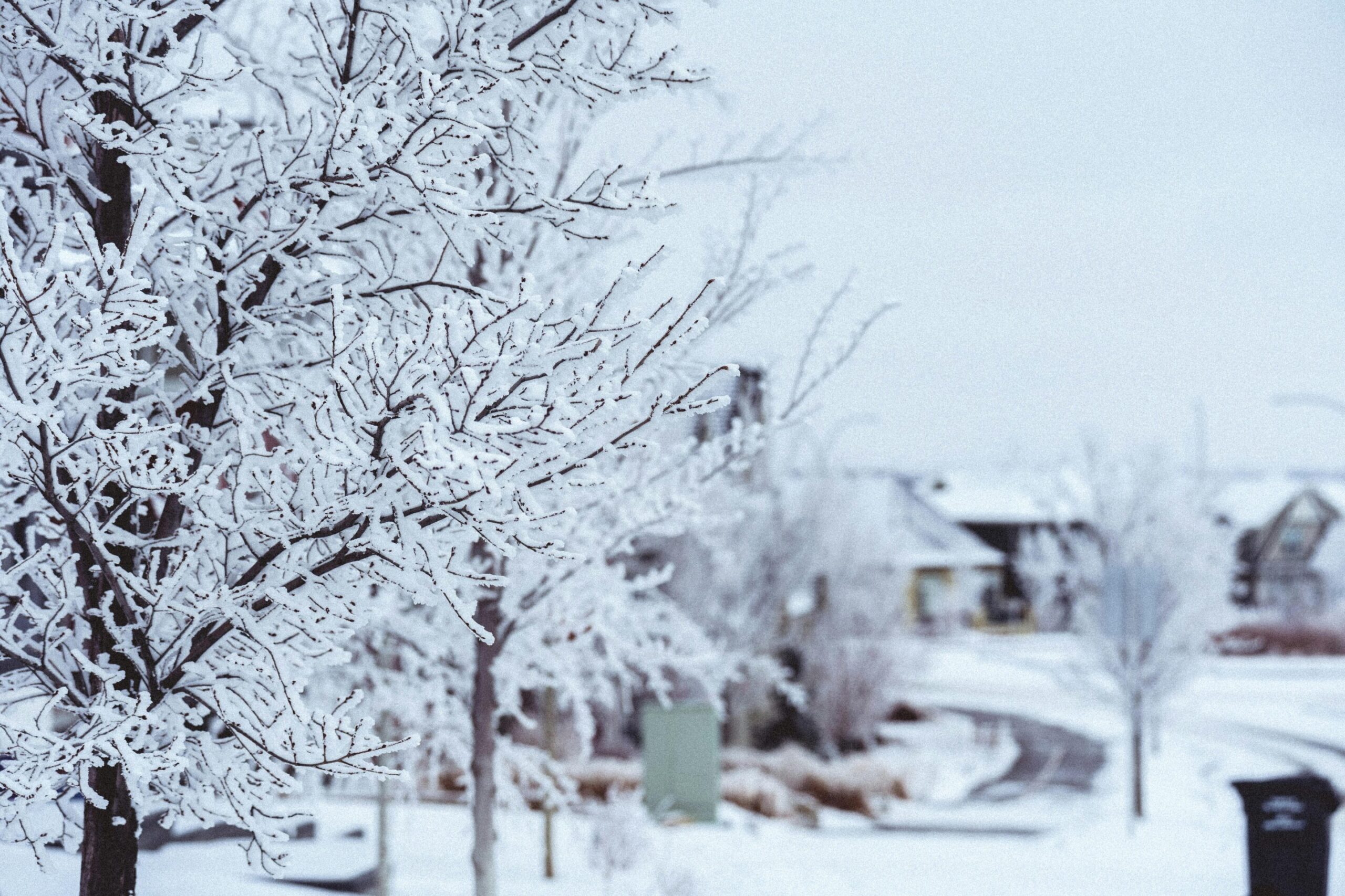 Airdrie Winter