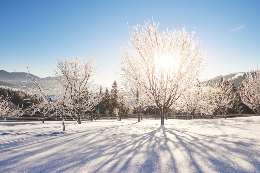 What Are Some Essential Winter Moving Tips for a Smooth Move