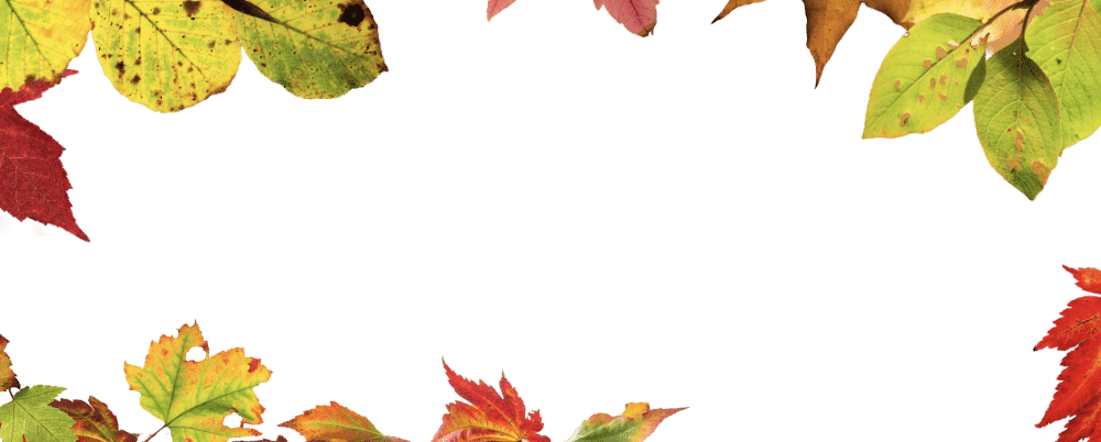 Events in Airdrie: Bayside yard cleanup for seniors